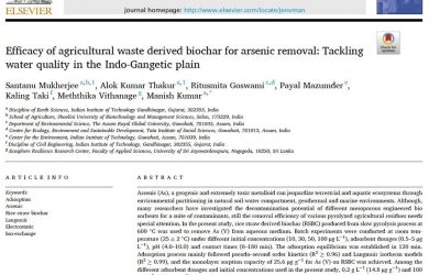 Efficacy of agricultural waste derived biochar for arsenic removal: Tackling water quality in the Indo-Gangetic plain